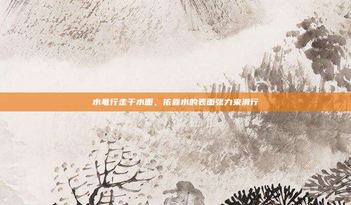 水黾行走于水面，依靠水的表面张力来滑行