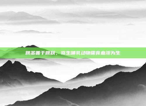 跳蚤善于跳跃，寄生哺乳动物吸食血液为生