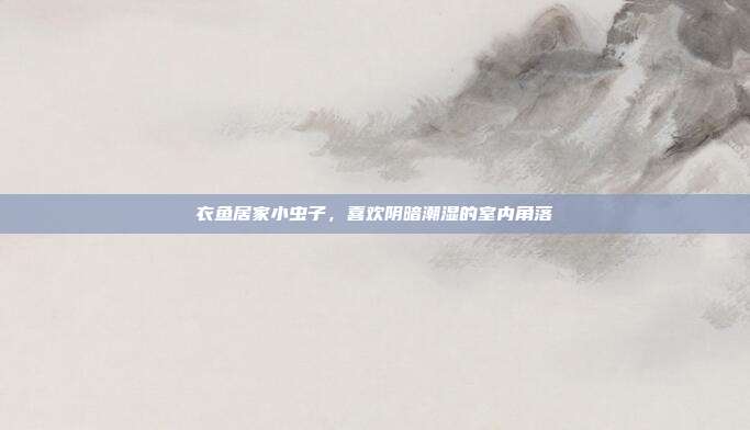 衣鱼居家小虫子,喜欢阴暗潮湿的室内角落