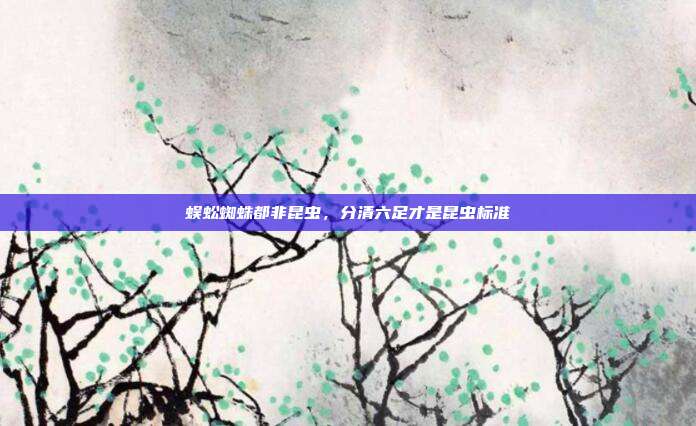 蜈蚣蜘蛛都非昆虫,分清六足才是昆虫标准