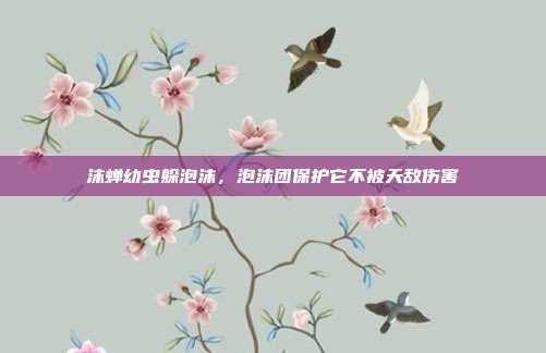 沫蝉幼虫躲泡沫,泡沫团保护它不被天敌伤害