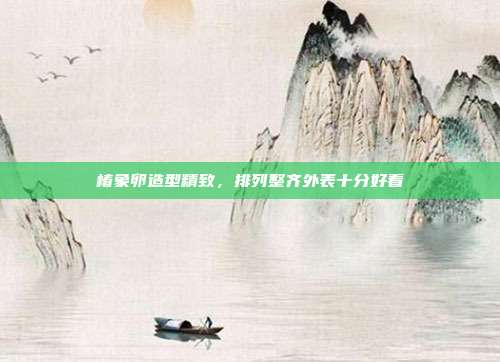椿象卵造型精致,排列整齐外表十分好看