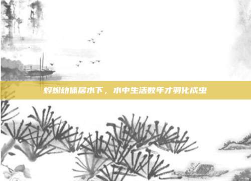 蜉蝣幼体居水下,水中生活数年才羽化成虫