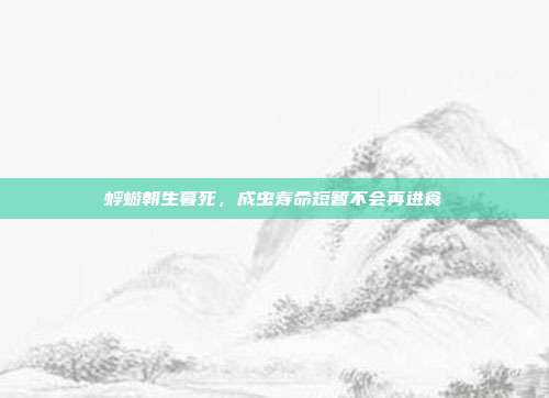 蜉蝣朝生暮死，成虫寿命短暂不会再进食