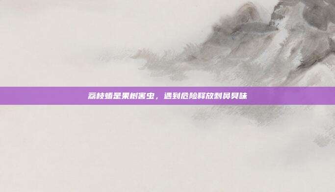 荔枝蝽是果树害虫,遇到危险释放刺鼻臭味