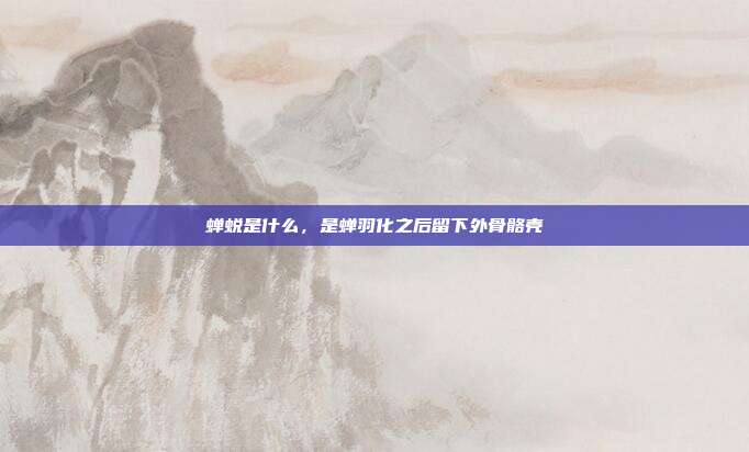 蝉蜕是什么,是蝉羽化之后留下外骨骼壳