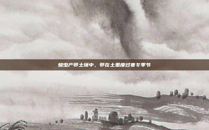 蝗虫产卵土壤中,卵在土里度过寒冬季节