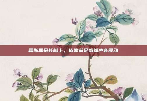 螽斯耳朵长脚上,依靠前足感知声音震动