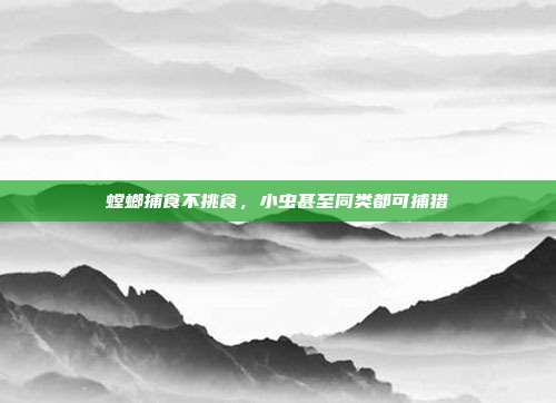 螳螂捕食不挑食,小虫甚至同类都可捕猎