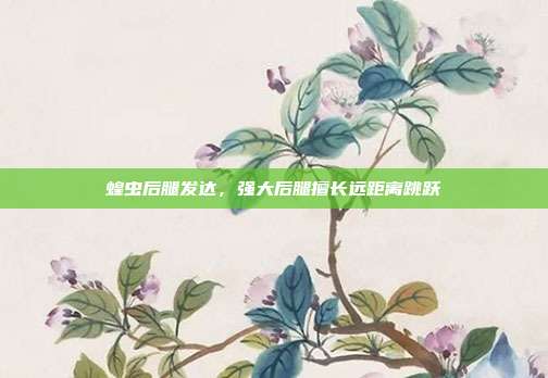 蝗虫后腿发达,强大后腿擅长远距离跳跃