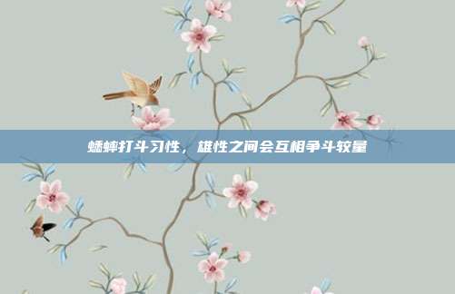 蟋蟀打斗习性,雄性之间会互相争斗较量
