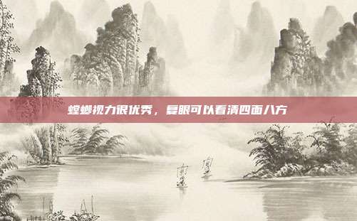 螳螂视力很优秀,复眼可以看清四面八方