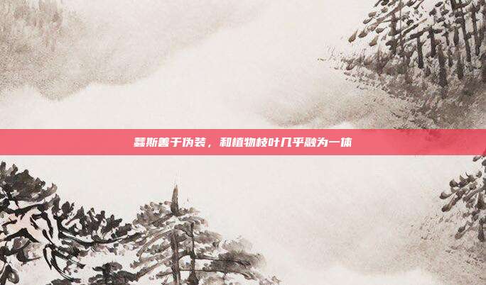 螽斯善于伪装,和植物枝叶几乎融为一体