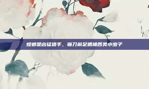 螳螂是凶猛猎手,镰刀前足抓捕各类小虫子