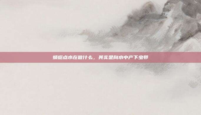 蜻蜓点水在做什么,其实是向水中产下虫卵