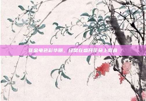 花金龟色彩华丽,经常在盛开花朵上取食
