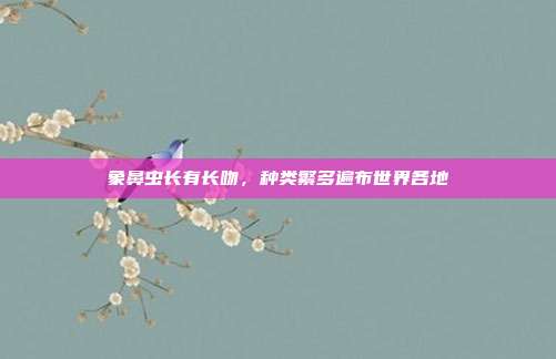 象鼻虫长有长吻，种类繁多遍布世界各地