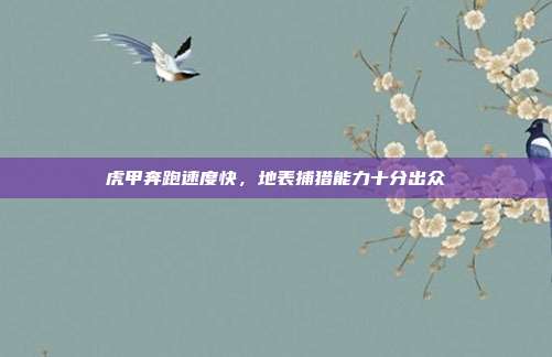 虎甲奔跑速度快,地表捕猎能力十分出众