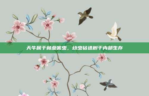 天牛属于林业害虫,幼虫钻进树干内部生存