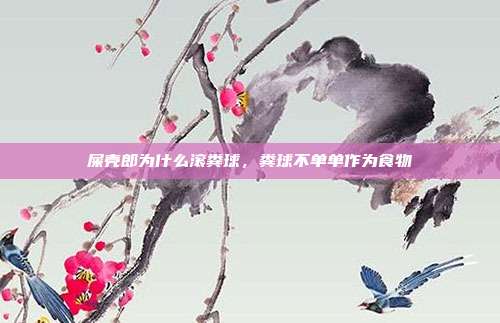 屎壳郎为什么滚粪球,粪球不单单作为食物