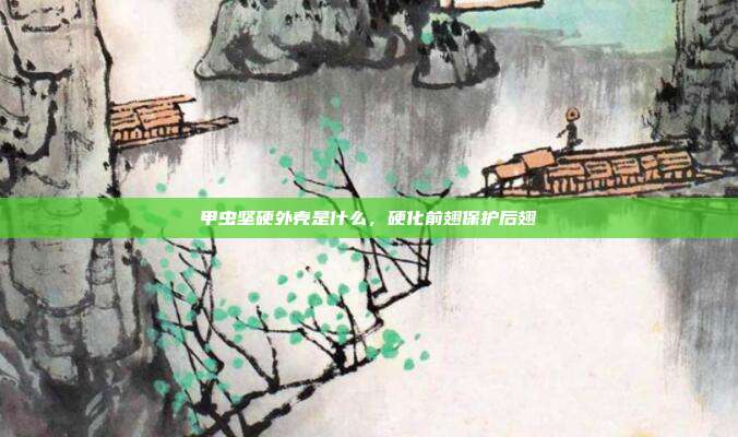 甲虫坚硬外壳是什么,硬化前翅保护后翅