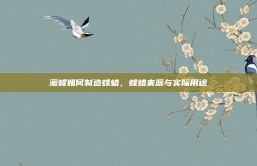 蜜蜂如何制造蜂蜡，蜂蜡来源与实际用途