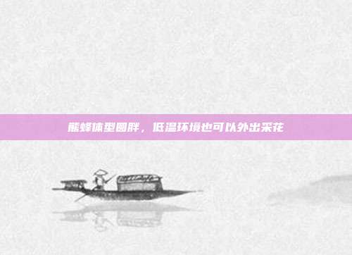 熊蜂体型圆胖,低温环境也可以外出采花