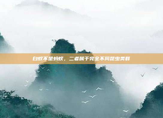 白蚁不是蚂蚁,二者属于完全不同昆虫类群