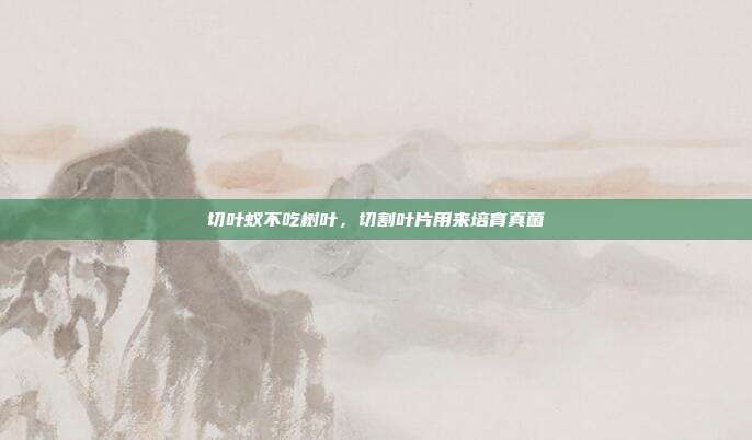 切叶蚁不吃树叶,切割叶片用来培育真菌