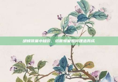 胡蜂筑巢小知识,纸质蜂巢如何建造而成