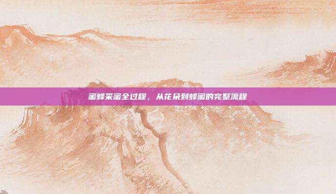 蜜蜂采蜜全过程，从花朵到蜂蜜的完整流程