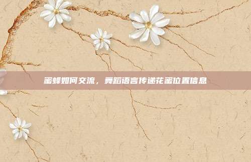 蜜蜂如何交流,舞蹈语言传递花蜜位置信息