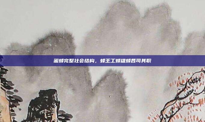 蜜蜂完整社会结构，蜂王工蜂雄蜂各司其职