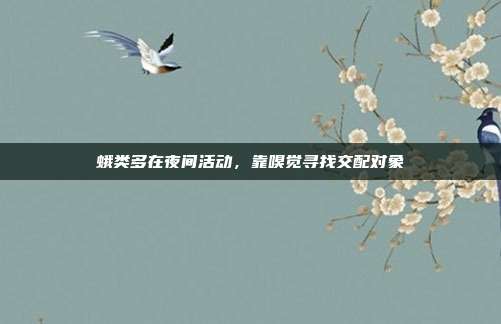 蛾类多在夜间活动,靠嗅觉寻找交配对象