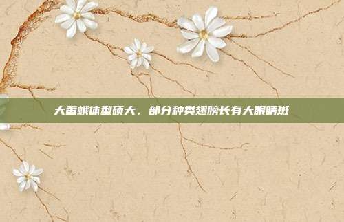 大蚕蛾体型硕大，部分种类翅膀长有大眼睛斑