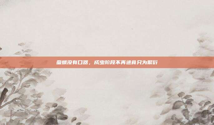 蚕蛾没有口器,成虫阶段不再进食只为繁衍
