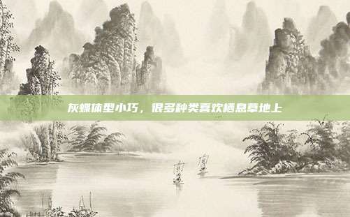 灰蝶体型小巧,很多种类喜欢栖息草地上