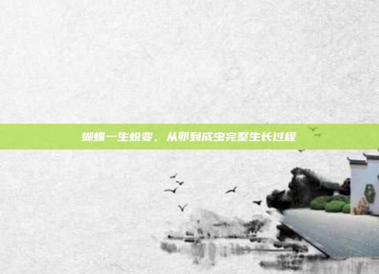 蝴蝶一生蜕变,从卵到成虫完整生长过程