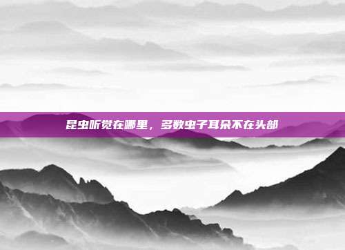 昆虫听觉在哪里,多数虫子耳朵不在头部
