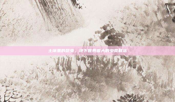 土壤里的昆虫,地下世界庞大的虫类群落