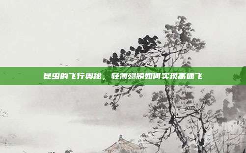 昆虫的飞行奥秘,轻薄翅膀如何实现高速飞