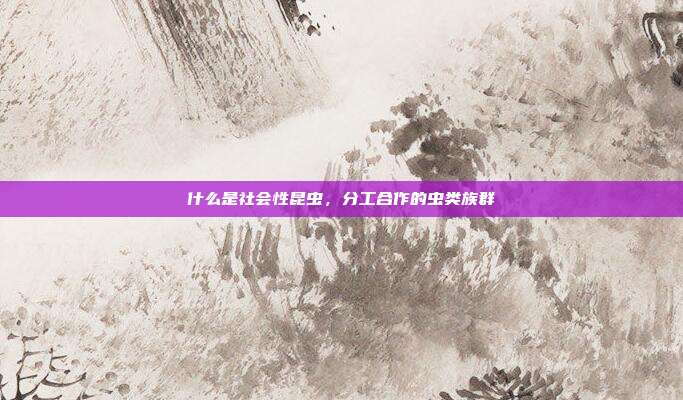 什么是社会性昆虫,分工合作的虫类族群