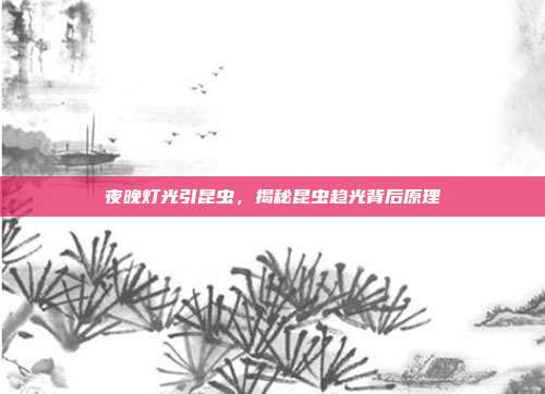 夜晚灯光引昆虫,揭秘昆虫趋光背后原理