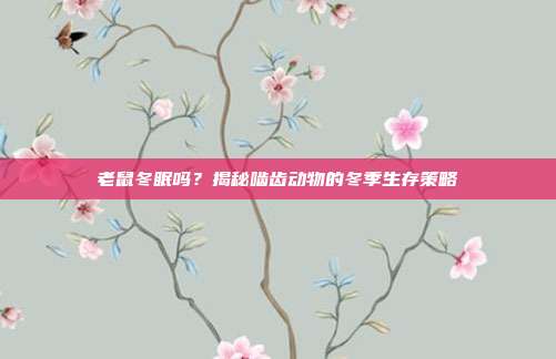 老鼠冬眠吗？揭秘啮齿动物的冬季生存策略