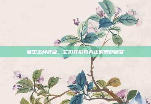 昆虫怎样呼吸，它们并没有真正的肺部器官