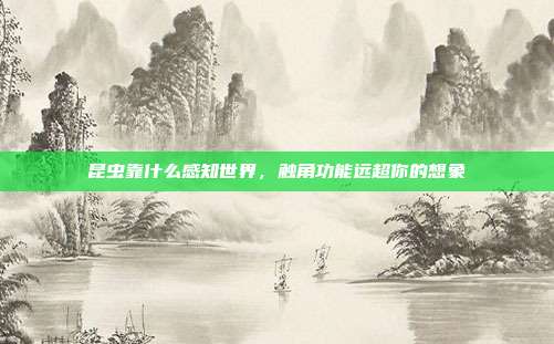 昆虫靠什么感知世界,触角功能远超你的想象