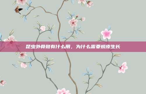 昆虫外骨骼有什么用,为什么需要蜕皮生长