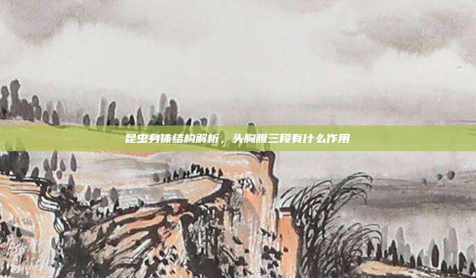 昆虫身体结构解析,头胸腹三段有什么作用