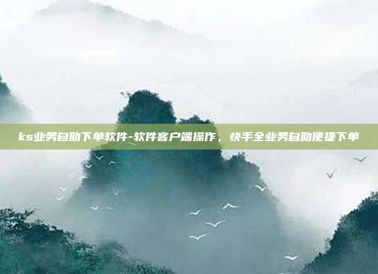 ks业务自助下单软件-软件客户端操作,快手全业务自助便捷下单