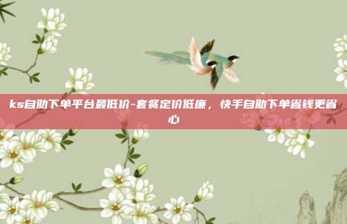 ks自助下单平台最低价-套餐定价低廉，快手自助下单省钱更省心